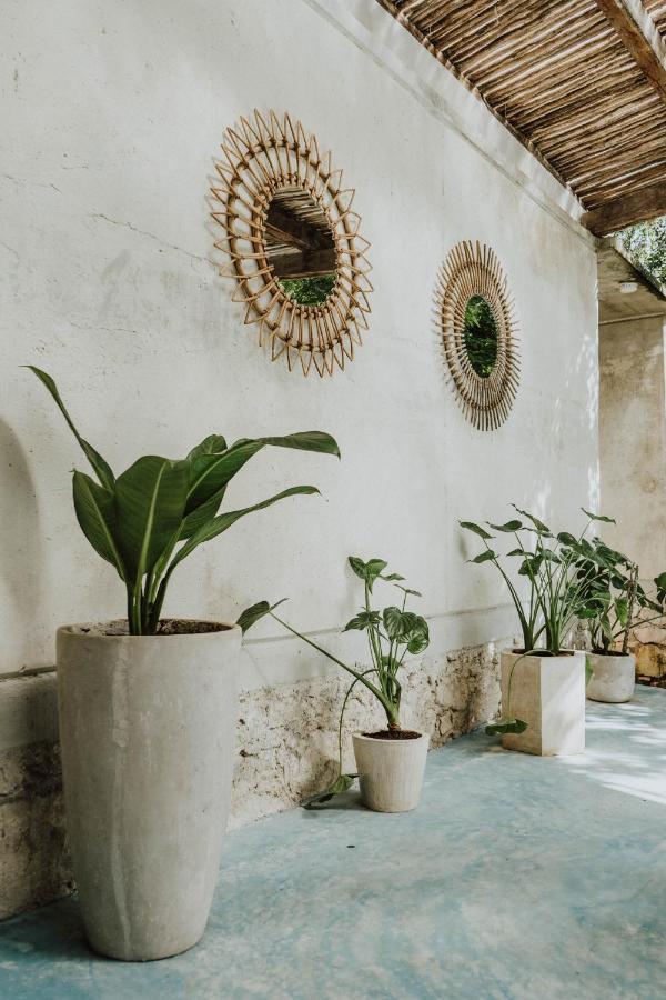 Casa Chimi Tulum Bed and Breakfast Zewnętrze zdjęcie